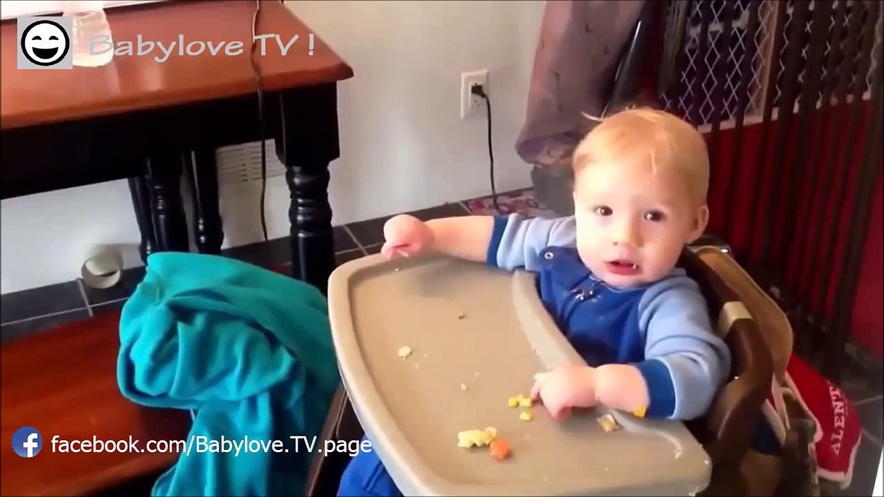 Funny Babies VS. Funny Cats and Dogs 2016