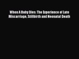 Read When A Baby Dies: The Experience of Late Miscarriage Stillbirth and Neonatal Death PDF