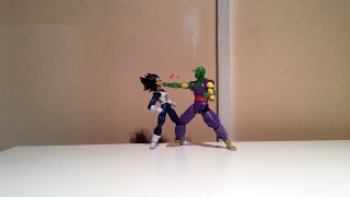 vegeta vs piccolo/goku vs beerus