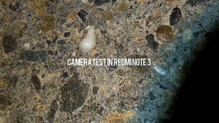 Redmi note 3 camera recording test