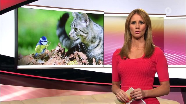 Mareile Höppner 03.06.2016