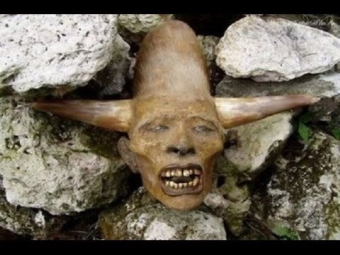 Most terrifying Creatures Ever Found Unidentified Creatures caught on camera