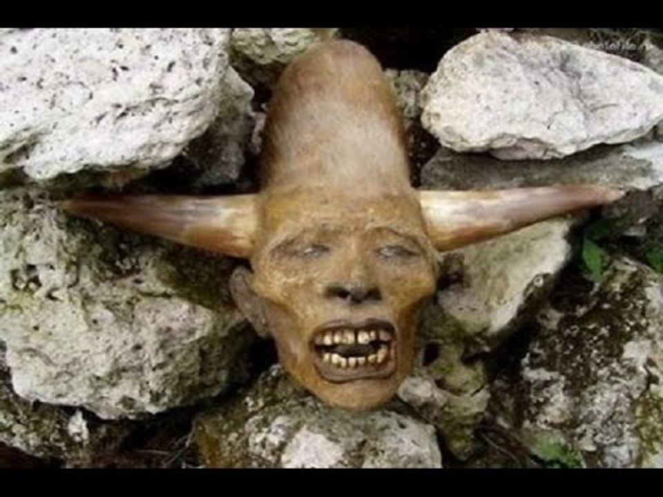 Most terrifying Creatures Ever Found -- Unidentified Creatures caught on camera