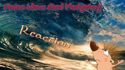 Реакция/Reaction MV BoA - Disturbance