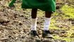 Chemins d'école chemins de tous les dangers 2-5 Le Kenya