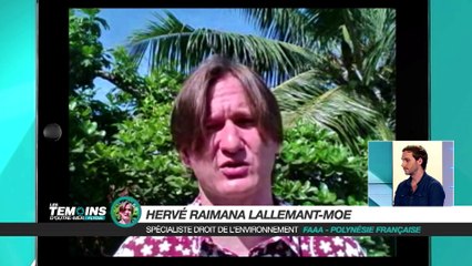 Montée des eaux : à quoi pourrait servir le fond vert ? - LTOM