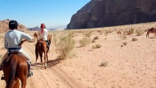 Rid & Rejs - Kameler i Jordan
