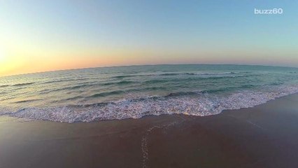 Coolest Ways to Participate in World Oceans Day