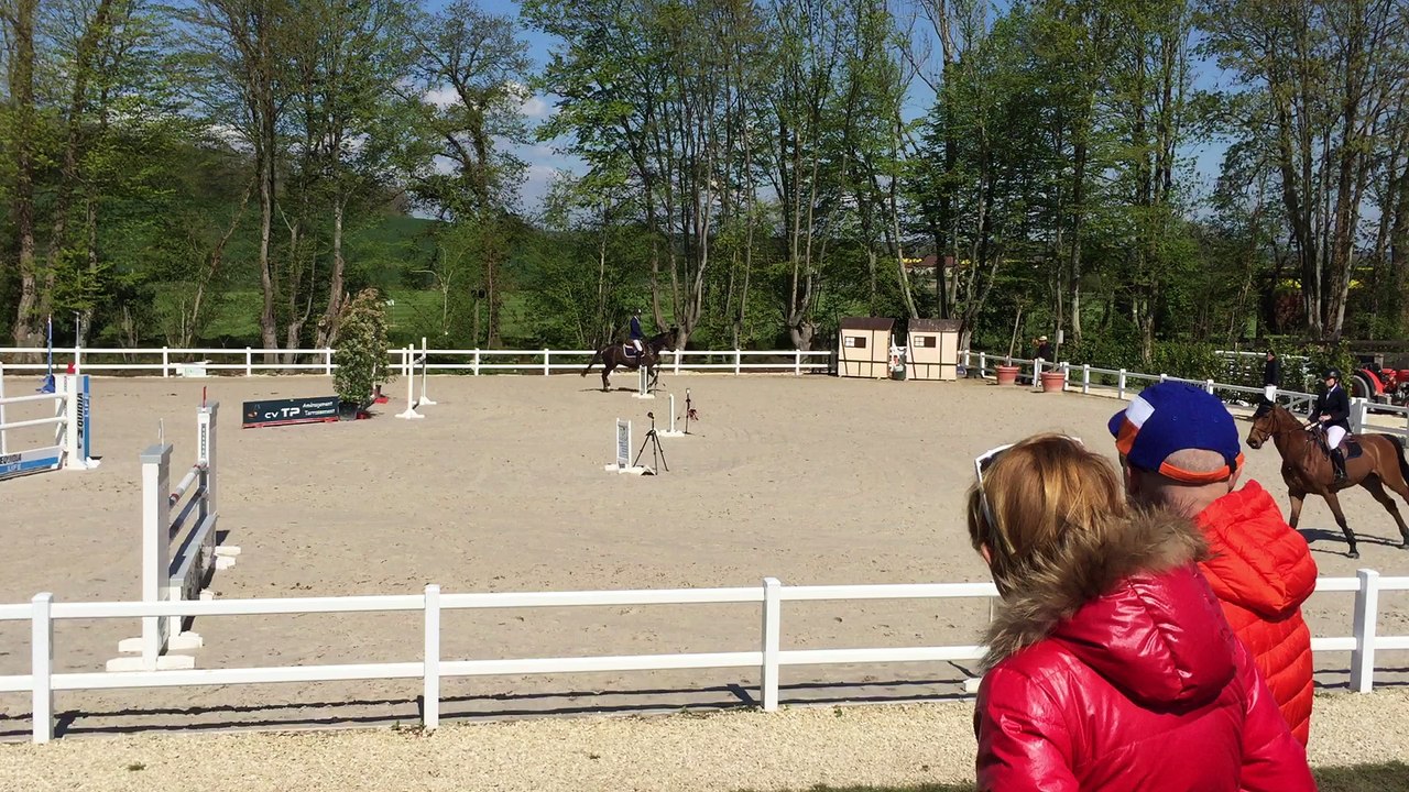 Quatuor Champeix Selle Français par Dollar de la Pierre Mai 16