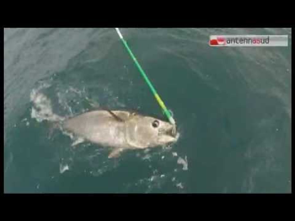 Tg Antenna Sud - Pesca sportiva, Raptuma vince il premio Sacha