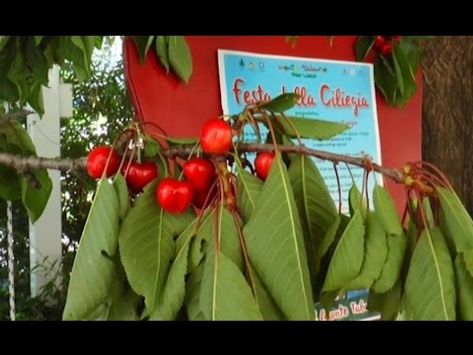 Festa della Ciliegia a Campoli del Monte Taburn...