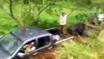 funny stuck in mud, amazing people doing amazing things new compilation