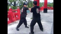 Effective techniques Filipino Martial Arts / Self-Defense