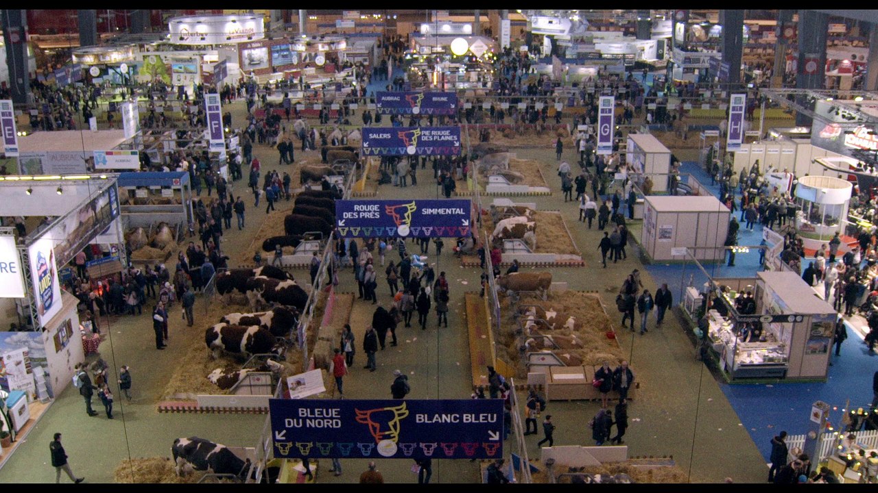 Saint Amour - Trailer (Deutsch) HD