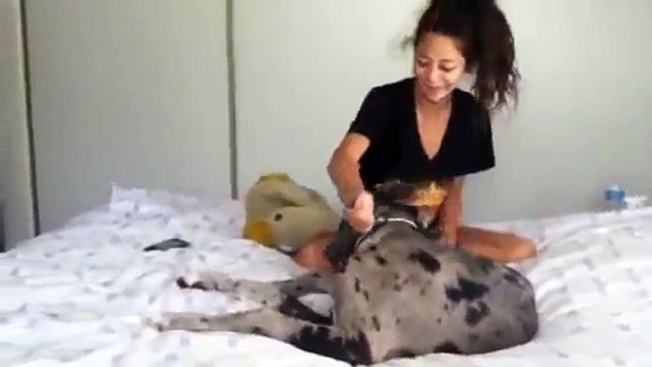 Chica cojiendo con un perro