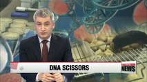 Korean scientists create new DNA scissors