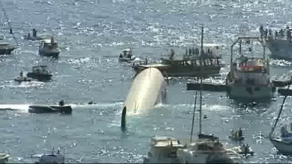 La Turquie fait couler un Airbus pour booster le tourisme (2)