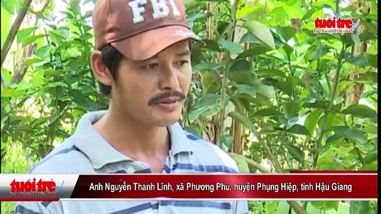 Cam xoàn Phụng Hiệp hướng đến sức khỏe người tiêu dùng