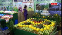 Gần 10 tấn trái cây được tiêu thụ tại Tuần lễ trái cây Đồng Tháp 2016