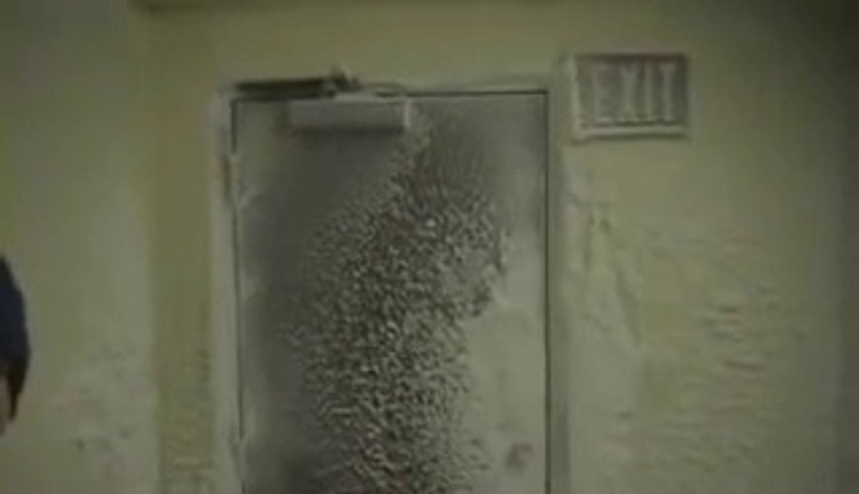 VÍDEO - Queres ver como é o clima na Antártida com -60 graus celsius