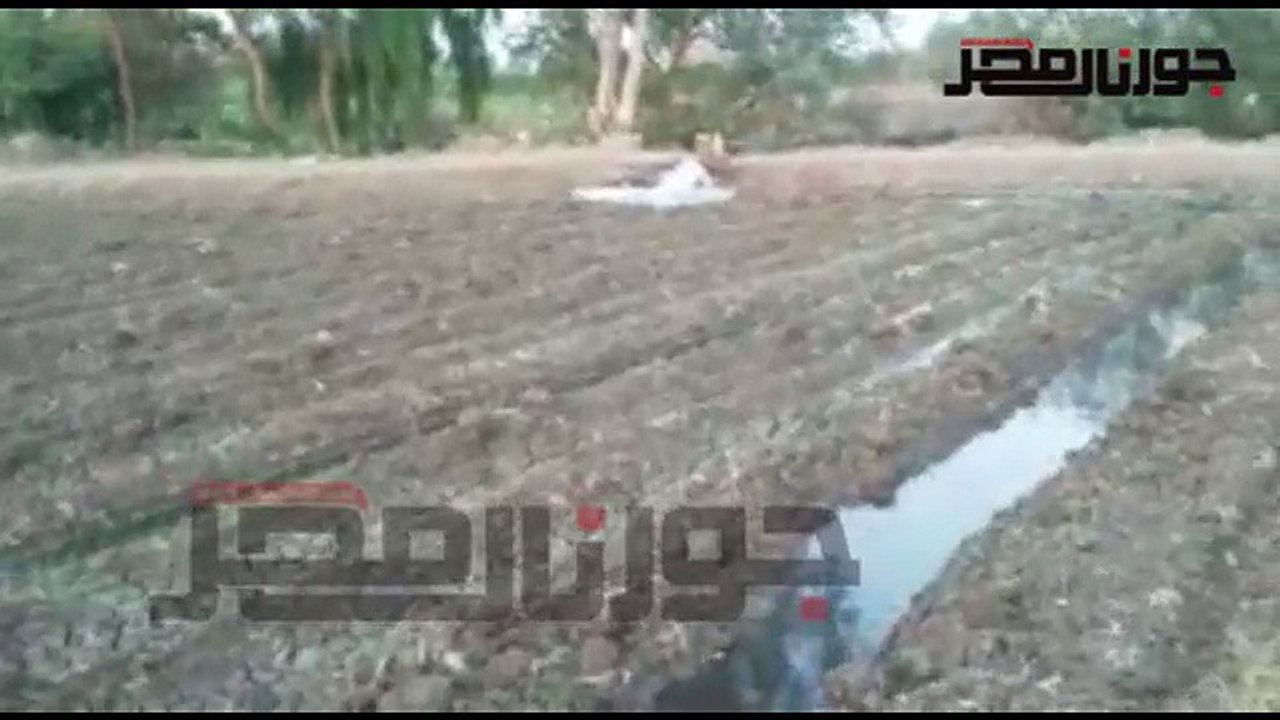 جفاف الترع والمصارف يهدد المحاصيل الزراعية بالغربية