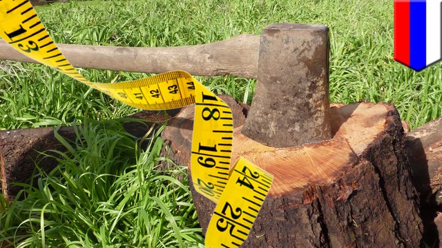 Man chops off friend’s genitals after coming up short in penis-measuring competition