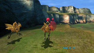 Final Fantasy X Chocobo Catcher Race Time of 0: 0.0  0 ps4 perfect run celestial weapon