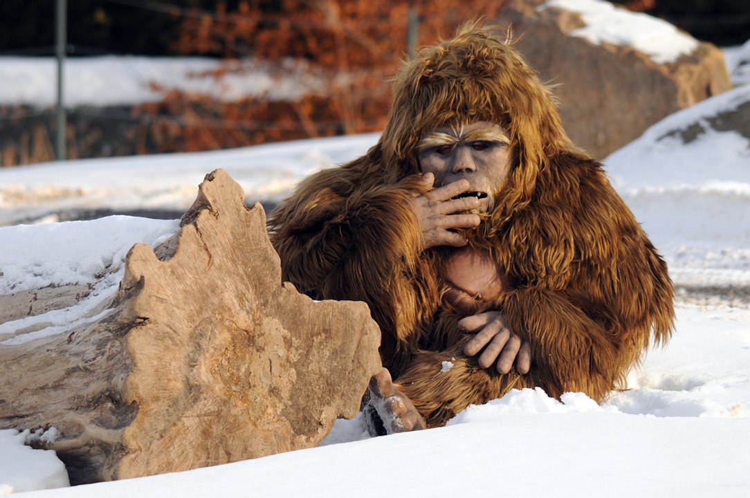 Real Shocking Bigfoot caught on camera