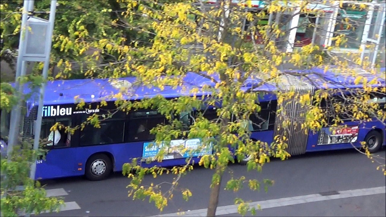 Mercedes Citaro G MKI N°324 Fil Bleu