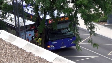 Mercedes Citaro G MKI N°325 Fil Bleu
