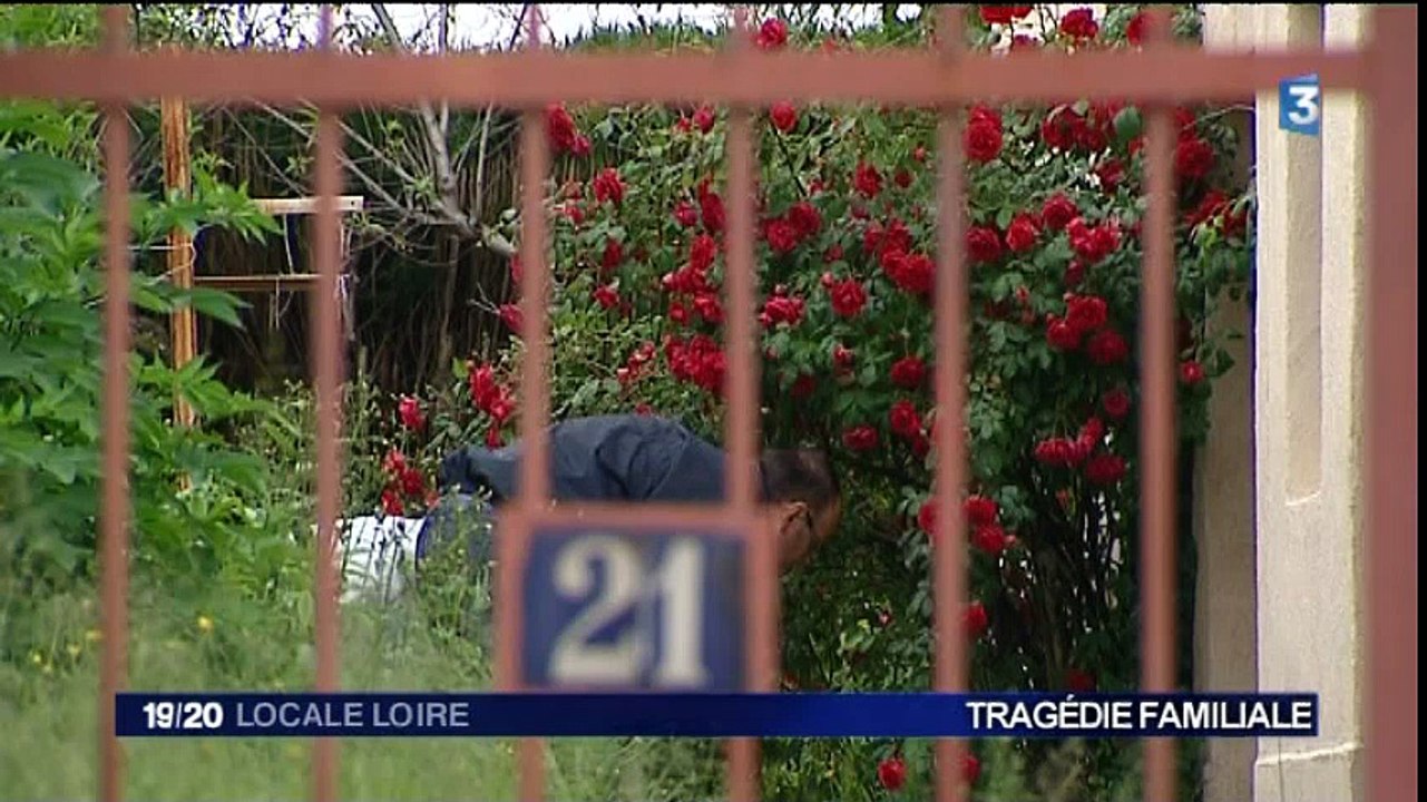 France 3 Loire - 3 juin 2016