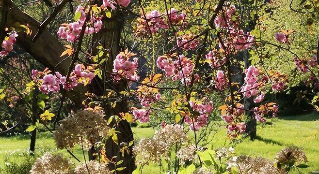 Secrets de Jardin en Essonne : 77 parcs et jardins à visiter