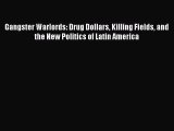 Download Gangster Warlords: Drug Dollars Killing Fields and the New Politics of Latin America