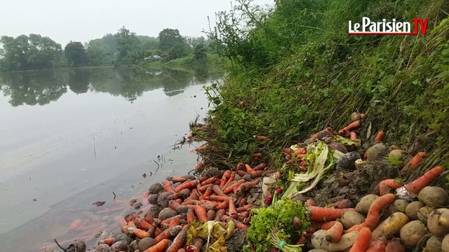 Inondations : à Mesnil-le-Roi (78) des terres maraîchères dévastées