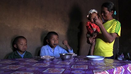 Des zebus et des hommes