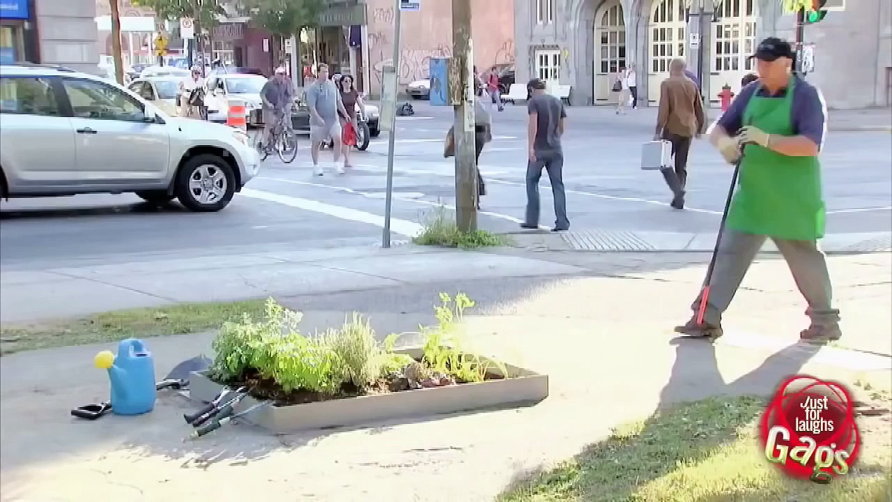 NEW,Best Of Just for Laughs Gags Epic Collection !