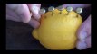 How to make lemon fire