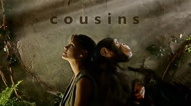 ВВС: Близкие родственники 3. Человекообразные