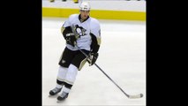 Pittsburgh Penguins - American professional ice hockey