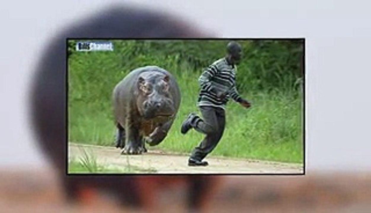 Copy of Top 5 Most Dangerous Animals