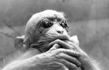 Tüyler Ürperten Deneyler