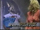 SN 5/27/1989- S. Steiner vs Victory