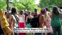 2010-05-27 - The Disco Biscuits Stage a Flash Mob in Boulder, CO