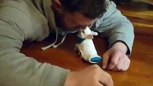 Ce lapin était paralysé des deux pattes arrières, ce que fera cet homme pour lui est magnifique !