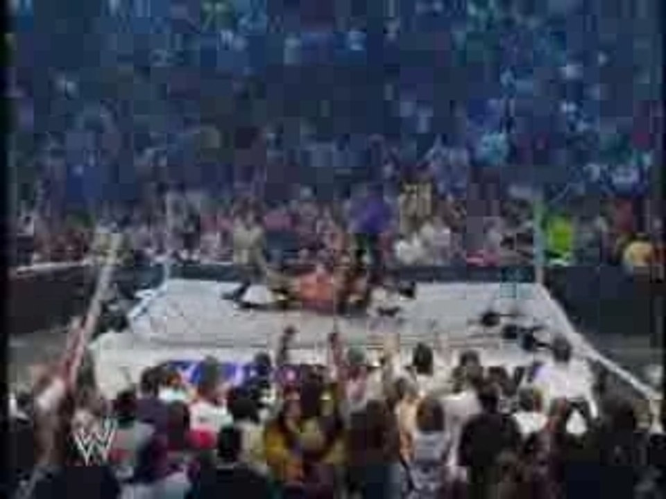 Wwe_ring_falls