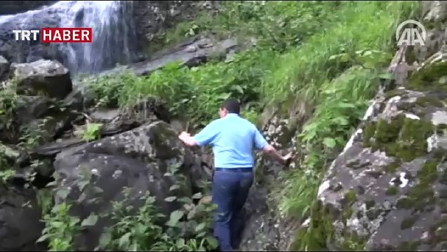 Çağlayan şelalesi görenleri büyülüyor