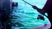 Bahia Honda Fishing Charters. Boneafide Charters. Tarpon fishing, offshore fishing, inshore Fishing.
