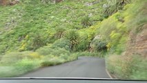 Canary Islands - Tenerife - Epic Road TF-423