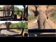 Arnold Schwarzenegger chased by elephant in South Africa