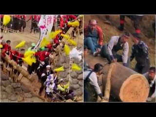 How Japanese men risk lives in ancient log-riding festival
